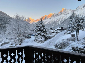 Les Houches vue magnifique avec piscine,pied des pistes de ski,garage